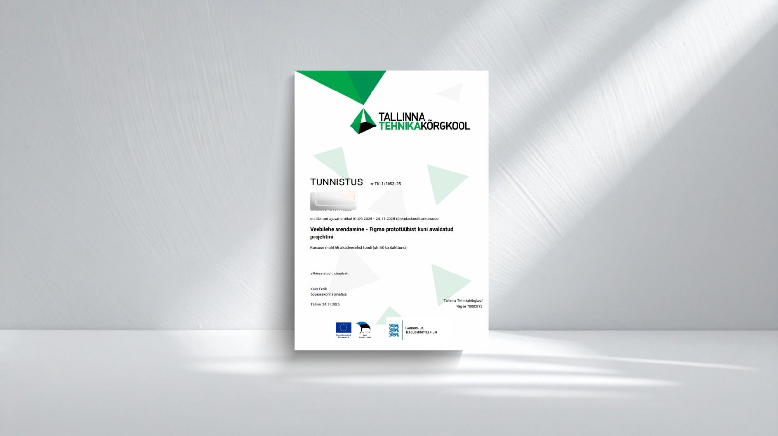 Website Development certificate — TTK