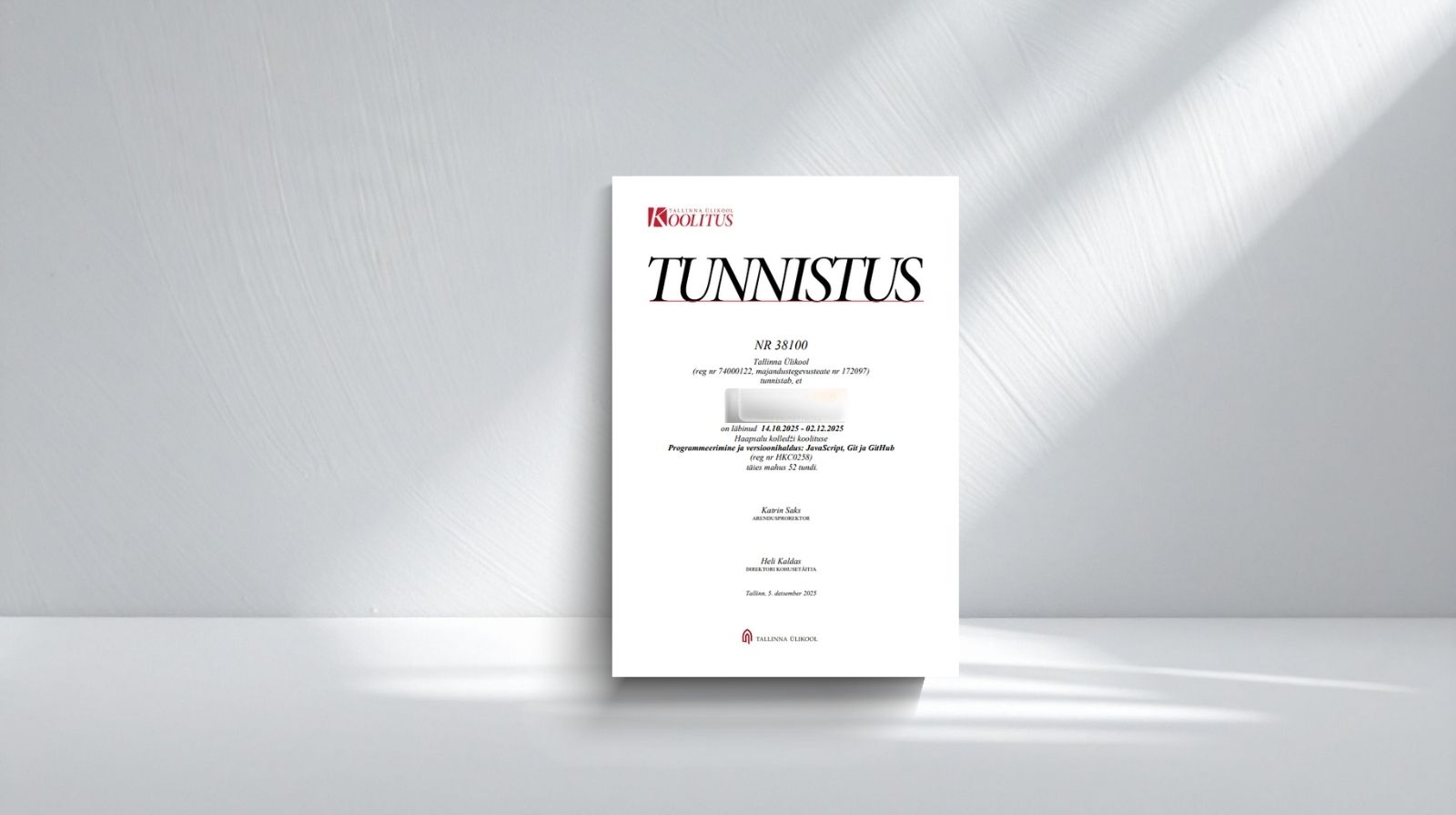 Programming certificate — TU/HK